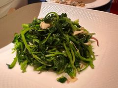 鸡毛菜炒豆皮-老吉堂上海本帮菜(工体店)