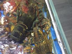 -徐记海鲜(汉城湖|太奥店)