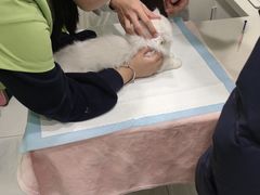 -艾吉宠物医院·疑难杂症转诊中心·猫友好(碧江路院)
