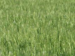 -崔岗艺术村
