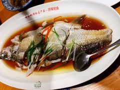 翘嘴鲌鱼-丹江渔村(望京店)