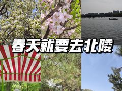 -北陵公园