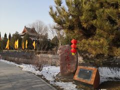 -大槐树寻根祭祖园