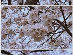 -西北湖绿化广场