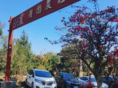 -罗浮山·罗园农庄