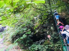 -藏龙百瀑风景区