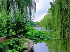 -济南大明湖景区