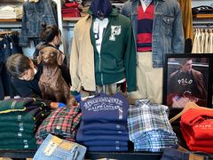 -Polo Ralph Lauren(青浦百联奥特莱斯广场店)