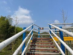-宁波浙东大竹海景区