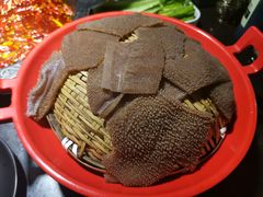比脸大的毛肚-锅说大脸毛肚重庆老火锅(佐阾店)