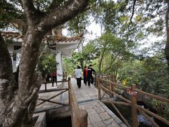 -广州市流溪河国家森林公园
