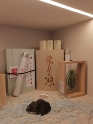 -安吉拉青春化管理中心