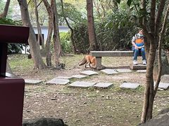 -南京市江宁方山