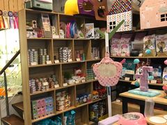 -十年猫舍·猫咪专门店(普陀店)