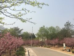 -北京鹫峰国家森林公园