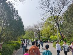 -千佛山风景名胜区