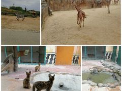 -杭州野生动物世界