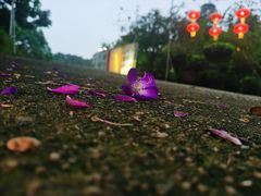 -绿华园休闲山庄