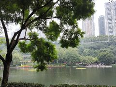 -重庆彩云湖湿地公园