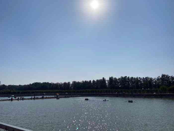 沁水园生态采摘垂钓园-"上周刚约过几个客户,钓了几条大鱼,现场就.