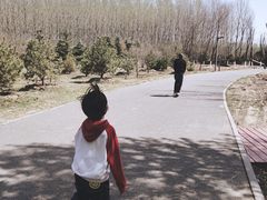 -东郊湿地公园