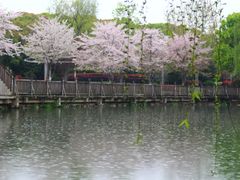 -玉山公园