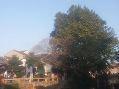 -鸣鹤古镇