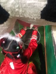 -新方向童乐小镇·儿童主题乐园·职业角色扮演(南昌店)