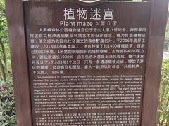 -大屏嶂森林公园