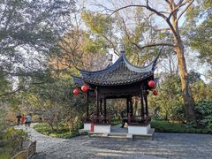 -上海醉白池公园