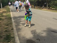 -永定河休闲森林公园