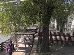 -尚庄度假村·庭台树下·户外烧烤·团建CS·轰趴营地(上庄水库店)