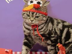 -春申里餐厅(银泰in99店)