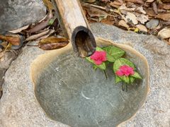 -湖泉半山温泉(湖泉生态园)