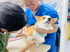 -芭比堂动物医院·心脏科·老年急重症·夜诊·吉雅分院