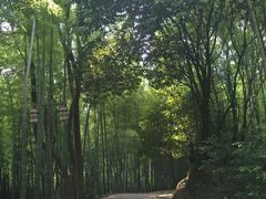 -苏州环秀晓筑养生度假村