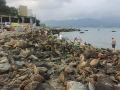 -梅姐海鲜餐厅(水头海鲜街店)