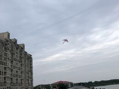 -中加枫华国际学校