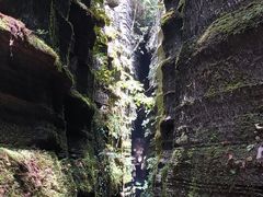 -梭布垭石林景区