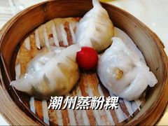 -新君悦国际酒店
