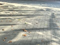 -海底捞火锅(顺义华联店)
