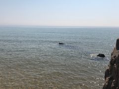 -青岛银沙滩温德姆至尊酒店