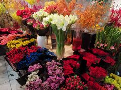 -双季花艺园艺市场(浦东店)