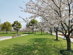 -上海山野camping·户外天幕烧烤·团建拓展营地