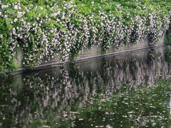 -尚贤河湿地