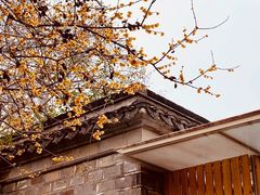 -老门东历史文化街区
