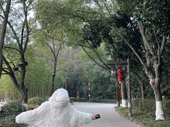 -天目湖山水园