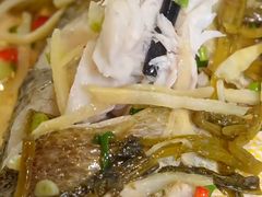 -老洋房花园饭店(绍兴路店)