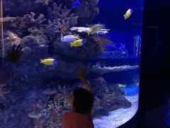 -成都浩海立方海洋公园