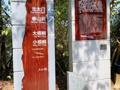 -梧桐山风景名胜区